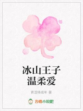 冰山王子温柔爱