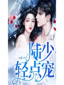陆少,轻点宠