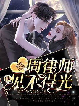 婚情漫漫,周律师他见不得光