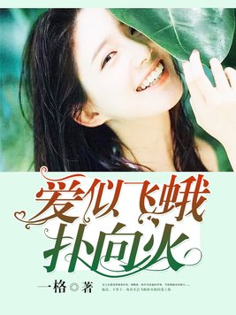爱似飞蛾扑向火