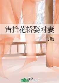 错抬花轿娶对妻