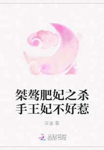 杀手王妃不好惹 小说