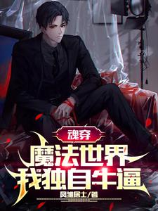 魂穿魔法世界，我独自牛逼