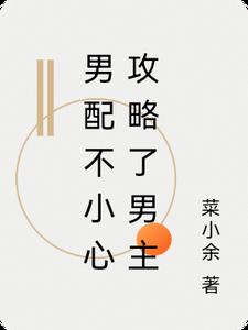 男配不小心攻略了男主