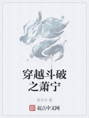 穿越斗破之萧宁