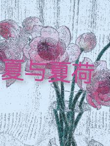 夏与夏荷