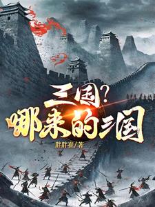 穿越我是何进，三国？哪来的三国