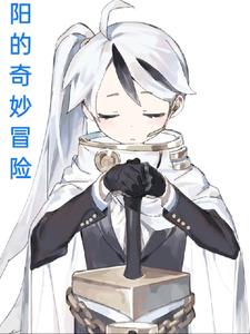 阳的奇妙冒险