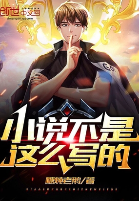 小说,不是这么写的！