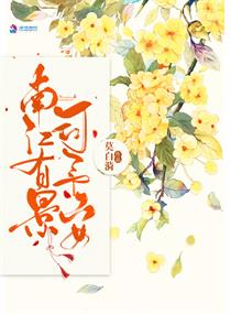 南江有景司予安